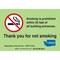 Brady No Smoking Sign, 7" H, 10" W, Fiberglass, Rectangle, English, 104974 104974 - alternate 1